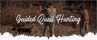 Custer County Guided Quail Hunt