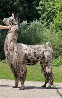 Firecracker Online Llama Auction 2022
