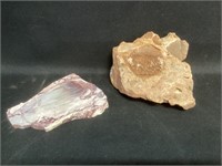 Petrified Palm & Glacial Rock,Found in Arizona