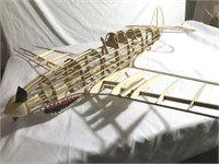 Model Plane by Frank Zieminski