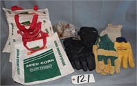 gloves/Dekalb book bags