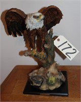 Eagle on tree