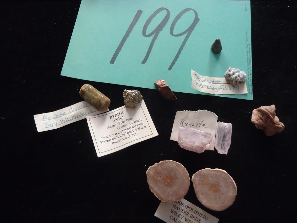 ARTIFACTS / MINERALS / FOSSILS