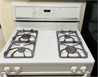 Frigidaire Gallery Natural Gas Stove, everything