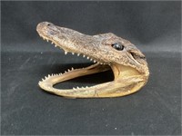 6” Long Alligator Head
