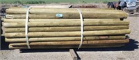 7 X 3.5 Treated Fence Posts