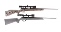 Two .22 Rifles Savage / Remington