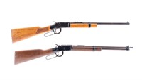 Two Lever Action .22 Rifles: Ithaca & Ted Williams