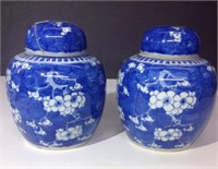 Pair of blue and white ginger jars