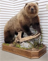Grizzly Bear mount