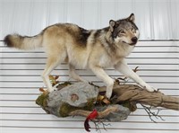 wolf mount