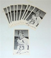 10 St. Louis Cardinals Team Postcards Ted Simmons