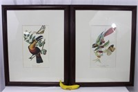 2 Sign'd Color Lithos: Parrot, Toucan