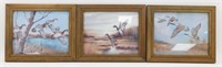 * 3 Framed Waterfowl Pictures