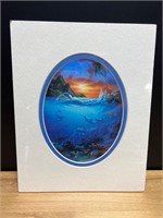 Matted Dolphin/Reef/Ocean Photo - unopened