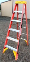 Werner Step Ladder, 6'