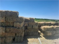 Mixed Grass/Alfalfa