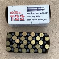 22 long rifle ammo