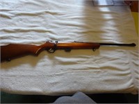 Marlin .22 Long Rifle