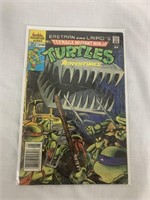 Teenage Mutant Ninja Turtles Adventures#2