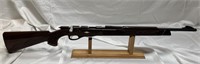 Remington Nylon 10 .22 rifle