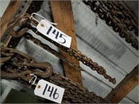 Two Hook Log Chain