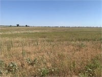 TRACT #1: 20 +/- Ac.