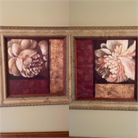 Pair of framed prints