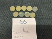 (9) Indian Head Pennies