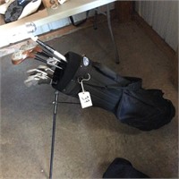 CTI Golf bag and Clubs