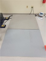 Bracknell Pegasus Floor Scale w/ Ramp