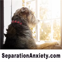 SeparationAnxiety.com