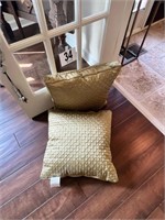 (2) Decorative Pillows (R 1)