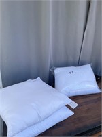 (4) 18” x 18” EDOW Pillows