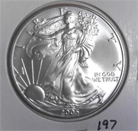 2005 American Silver Eagle