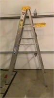 Werner Aluminium Ladder 6’
