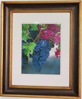GRAPES ON VINE - PHOTOGRAPH - FRAMED AND MATTED