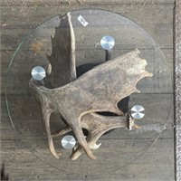 glass round top coffee table w/ moose antler inser