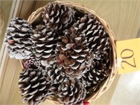 Basket of Pine Cones