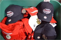 Lot of Baseball Hats w Tote