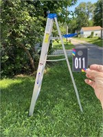 Werner 6' Aluminum Ladder