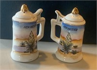 "New Mexico" themed Salt & Pepper Shakers