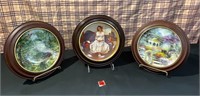 3 Framed Decorative Plates