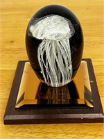 Jellyfish paperweight sitting on mirror display