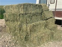 30 Bales 2nd Cutting Alfalfa