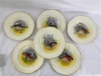Coronaware- plates circa 1890s