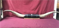 61 " Texas Longhorn Bull Horns