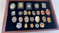 25-AUTHENTIC MISC. POLICE & SECURITY BADGES