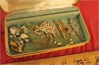 Vintage Broach Collection