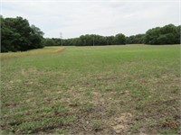 TRACK #3 -- 40 ACRES +/-  WITH 16 TILLABLE,